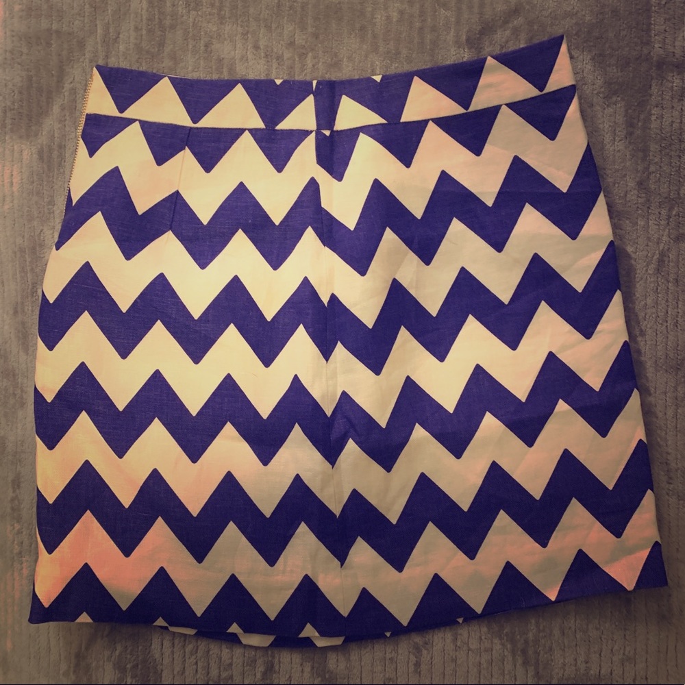 Kate Spade Chevron Skirt